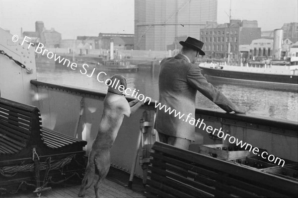 DUBLIN PORT  B AND I SHIP TO LIVERPOOL  MR FITZHERBERT AND DOG